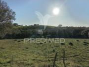 Quintas e casas rústicas T2 em Santiago do Cacém, S.Cruz...