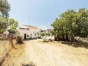 Quintas e casas rústicas T3 em Arraiolos