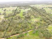 Quintas e casas rústicas T3 em São Domingos e Vale de Água