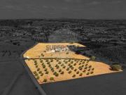 Quintas e casas rústicas T3 em Santiago Maior