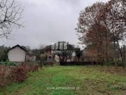 Quintas e casas rústicas T3 em Telões