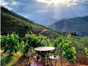 Quintas e casas rústicas T3 em Valença do Douro