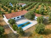 Quintas e casas rústicas T4 em Almoster