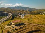 Quintas e casas rústicas T4 em Peso da Régua e Godim