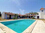 Quintas e casas rústicas T6 em Pavia