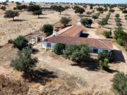 Quintas e casas rústicas T8 em Albernoa e Trindade