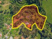 Quintas e casas rústicas T9 em Abragão