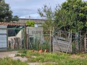 Quintas e casas rústicas T9 em São Teotónio
