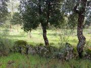 Terreno, Aldeia de Santa Margarida, Idanha a Nova | BPI...