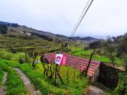 Quintinha / Baião, Santa Cruz do Douro e São Tomé de Covelas