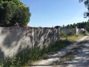 Quintinha, Cebolais de Cima e Retaxo, Castelo Branco |...