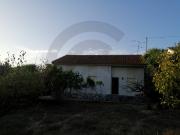 Quintinha com moradia T3 e 24980 m2 de Terreno em Alcanena