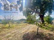 Quintinha com 3500m2 perto de Castelo Branco