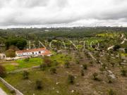 Quintinha com 20.000 m2 na região de Porto de Mós
