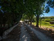 Viva entre o campo e o mar – Quinta com potencial a 15...