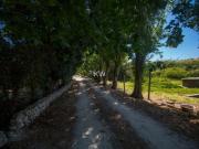 OPORTUNIDADE 15 minutos da Ericeira