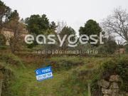 Quintinha com aproximadamente 4000 m2 em Gonçalo, Guarda