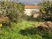 Quintinha com Armazém