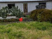 Quintinha com casa agrícola