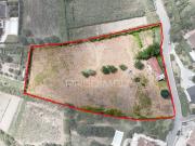 Quintinha com Casa em Xisto para Recuperar – Anais