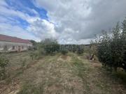 Quintinha com Moradia e Pomar em Carvalhal, Bombarral