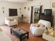 Quintinha com Moradia T2 + Armazém | 2ha vedados | Rio |...