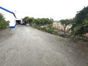 Quintinha de 12.315 m² com Monte T3, Olival, Horta e...