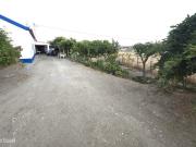 Quintinha de 12.315 m com Monte T3, Olival, Horta e...