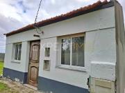 Quintinha de 6000 m2 com moradia no Louriçal