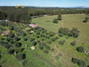 Quintinha de 9.000m2 em Proença a Velha