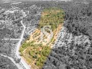 Quintinha em Sarzedas Castelo Branco, Castelo Branco