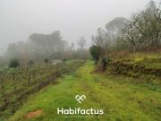 Quintinha, Fornos de Maceira Dão, Mangualde | BPI...