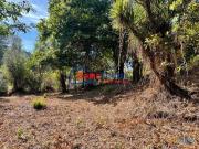 Quintinha Friande, Póvoa de Lanhoso | 24093818281