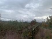 Quintinha / Fundão, Pêro Viseu