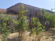 Quintinha para recuperar em Ferro, Covilhã Quintinha para recuperar em Ferro, Covilhã