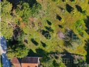 Quintinha para recuperar no Bouro