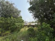 Quintinha em Montargil