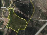 Quintinha Para Venda Aldeinha Rio de Moinhos Abrantes