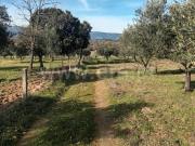 Quintinha, Póvoa de Atalaia e Atalaia Do Campo, Fundão |...