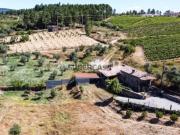 Quintinha rural com 16.000m2 com casa em xisto