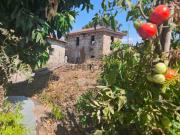 Quintinha Rural para Restauro, Penafiel