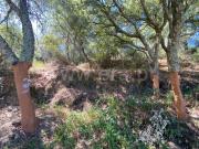 Quintinha, Salgueiro Do Campo, Castelo Branco | BPI...