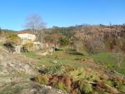 Quintinha T3 / Marco de Canaveses, Penhalonga e Paços de...