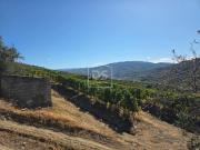 Quintinha Venda em Lobrigos São Miguel e São João...