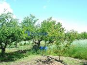 Quintinha Venda em Soalheira,Fundão