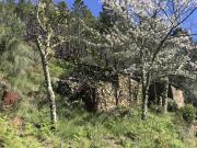 Quintinha Venda em Vide e Cabeça,Seia