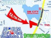 Quirino Hiway Prime Commercial 1.2 hectare Lot Beside SM...