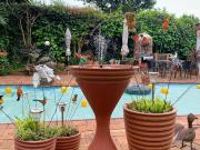 R5,000 pm 1 Bedroom Garden Cottage To Let in Emmarentia