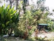 R 2024000679: Acquired Property for Sale in Lot 34,...