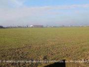 R.G.E. 381/2023 Verona